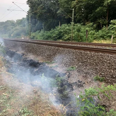 Bahndamm Langenselbold.jpg